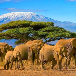 África