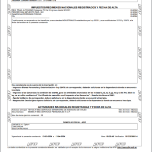CONSTANCIA AFIP