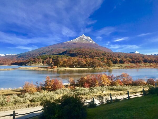 EL CALAFATE y USHUAIA - Salida 15/12/2025
