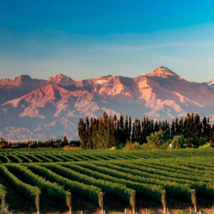MENDOZA - Salidas en Agosto y Septiembre 2025