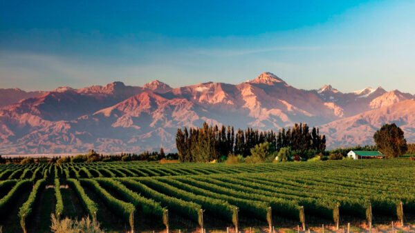 MENDOZA - Salidas en Agosto y Septiembre 2025