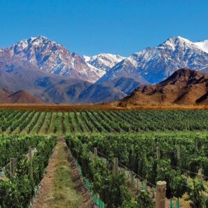 MENDOZA - Salida 09/06/2025