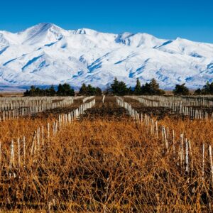 MENDOZA - Salida 25/06/2026