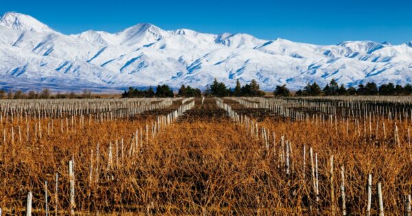 MENDOZA - Salidas en Agosto y Septiembre 2025 - Image 7
