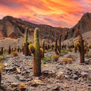 Año Nuevo en SALTA - Salida 29/12/2025