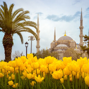 TURQUÍA Salida Grupal Acompañada - Salida 07/04/2026