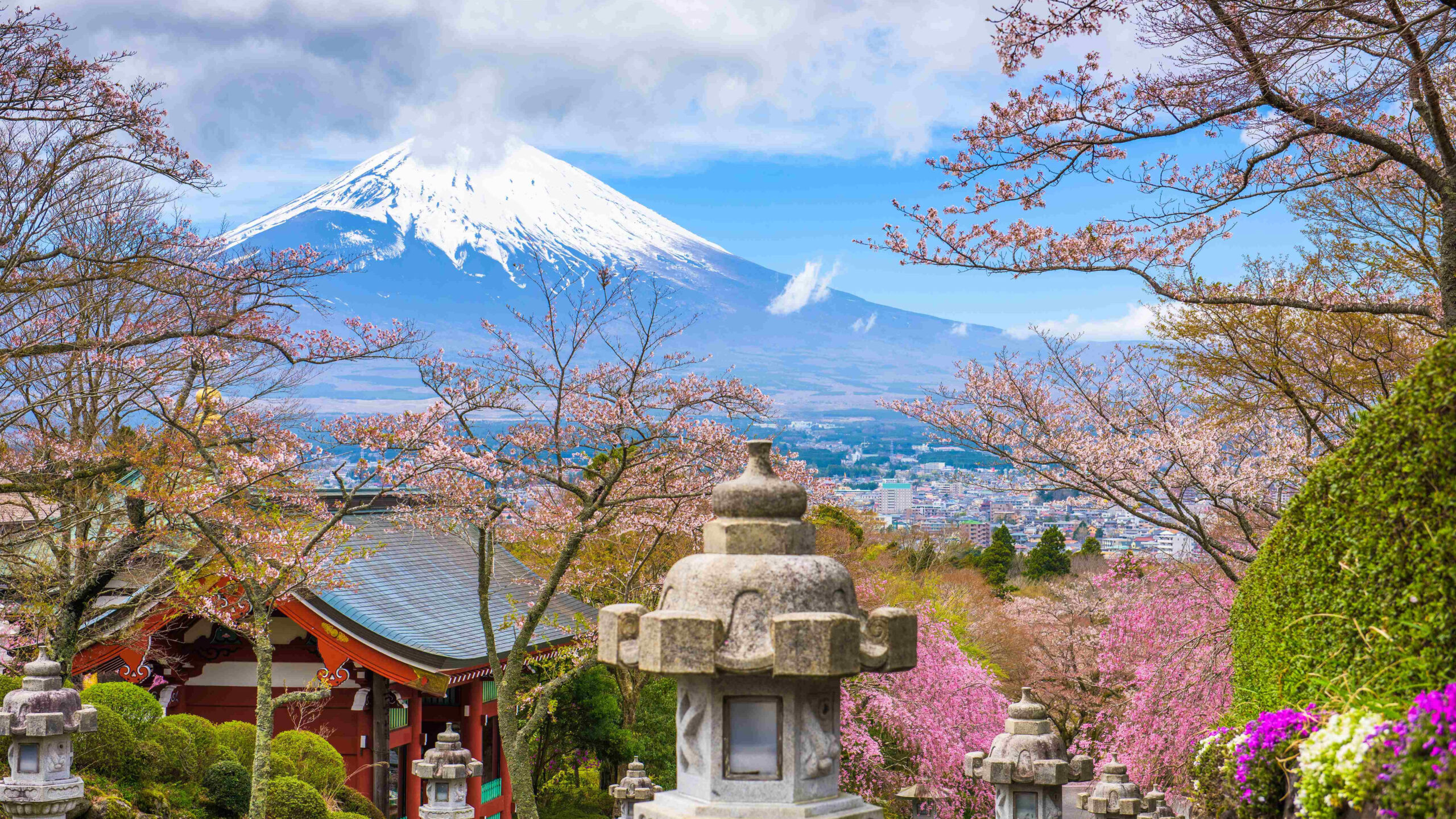 JAPÓN - Salida 29/03/2026 - Image 2