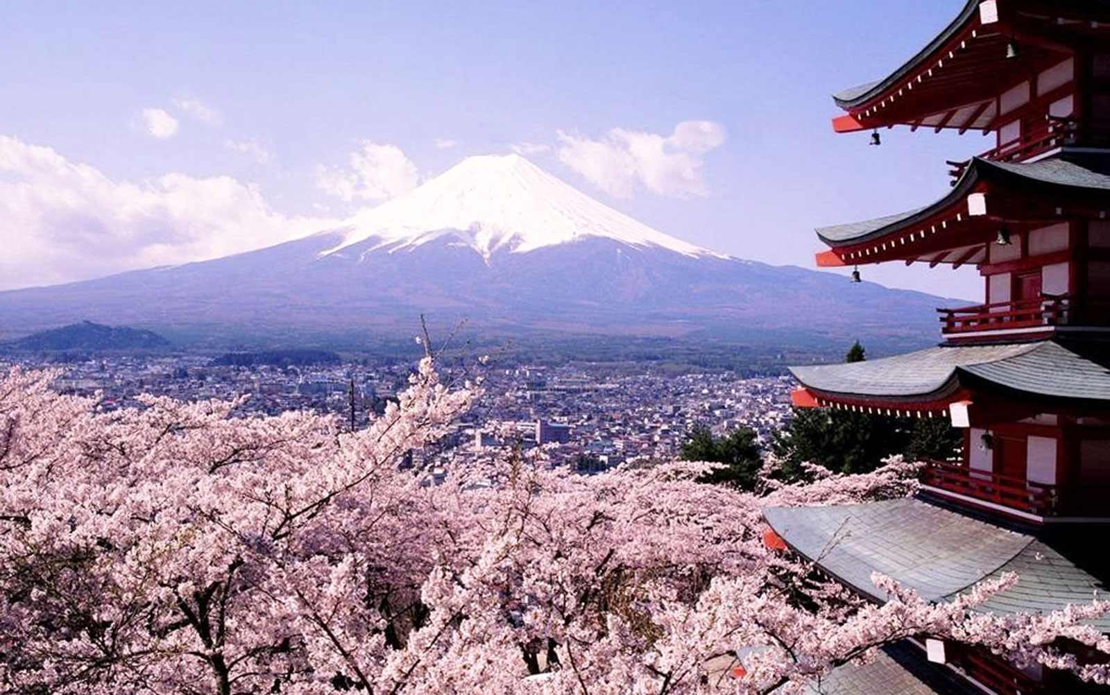 JAPÓN - Salida 29/03/2026 - Image 4