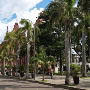 SANTA CRUZ DE LA SIERRA en Bus - Salida 04/08/2026