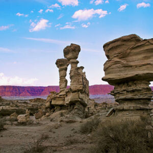VALLE DE LA LUNA Y TALAMPAYA - Salida 04/07/2026